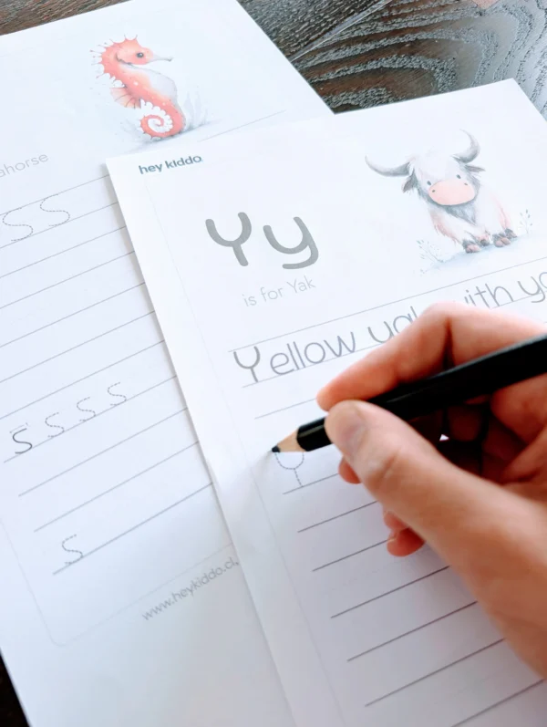 Plan Individual por 1 año