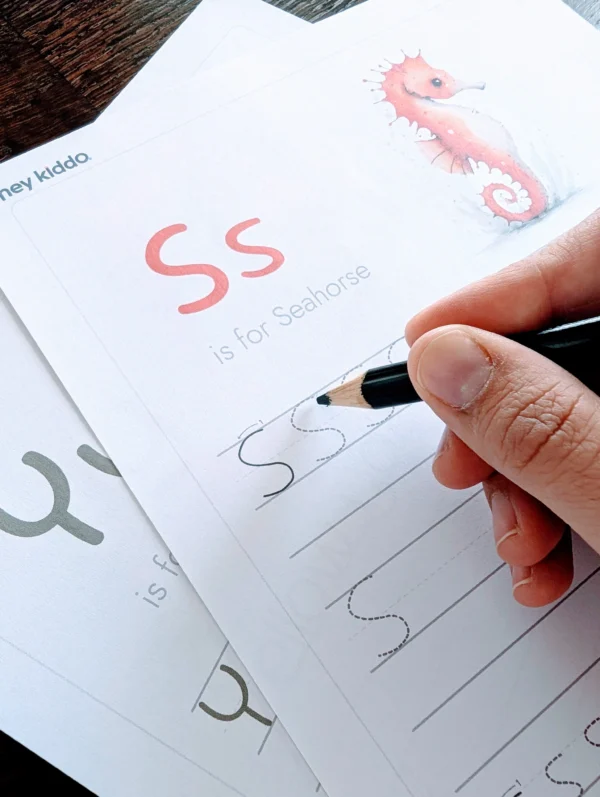 Plan Individual por 1 año