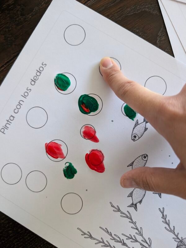 Plan Individual por 1 año