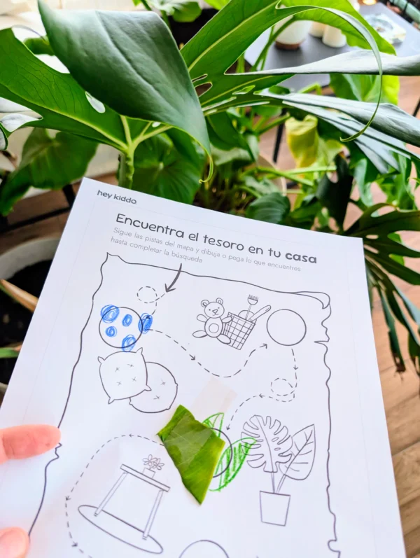 Plan Individual por 1 año