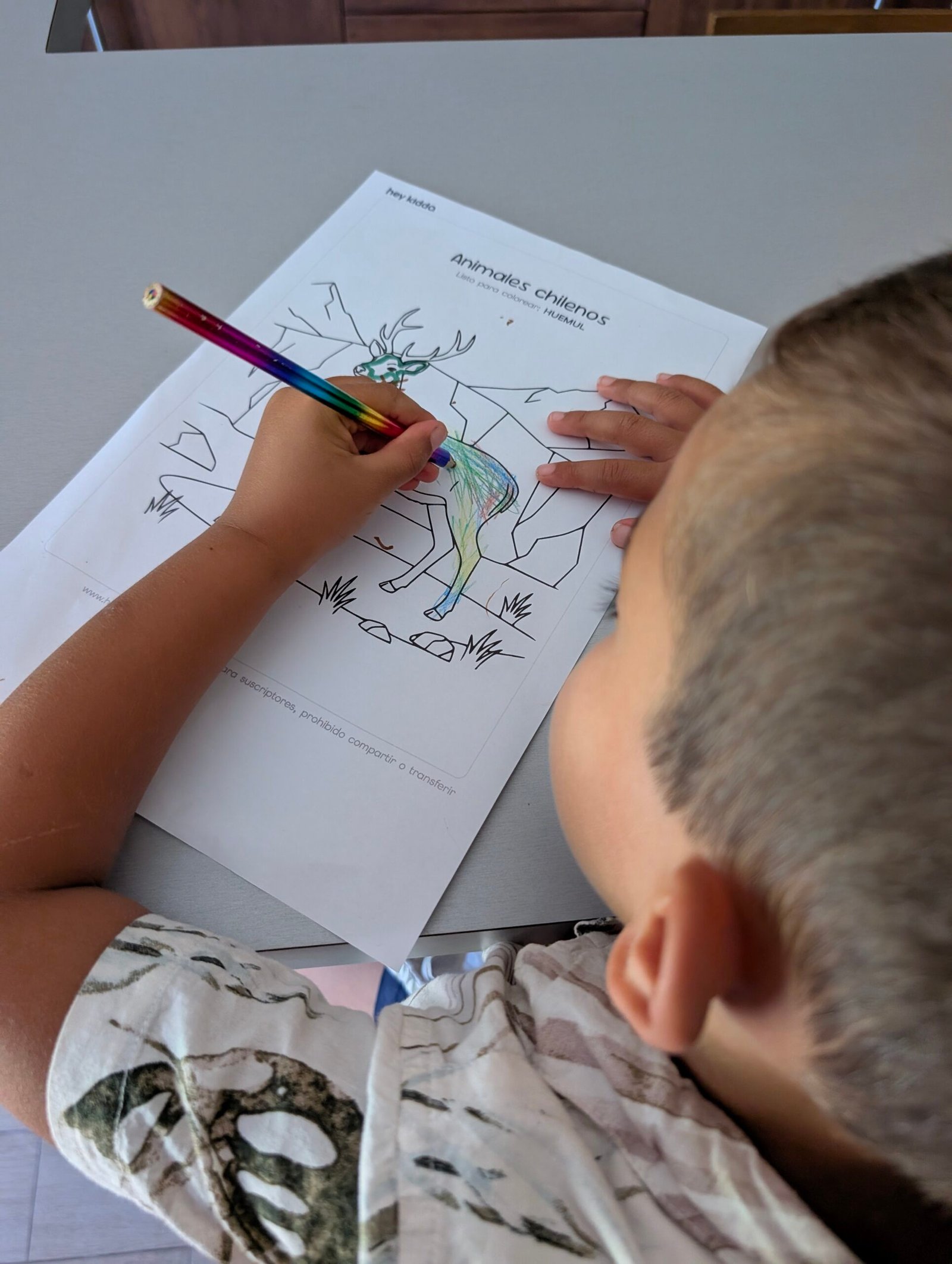 Plan Individual HeyKiddo - Imagen 14